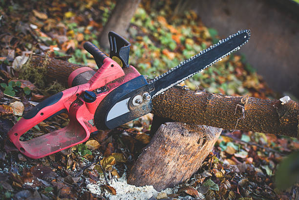 Leaf Removal in Mastic Beach, NY